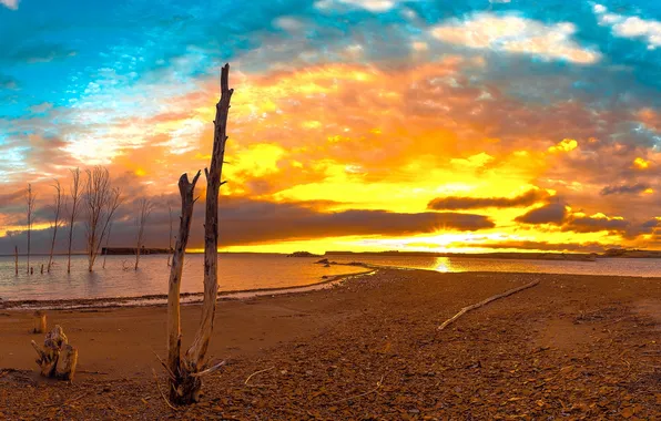 Море, берег, утро