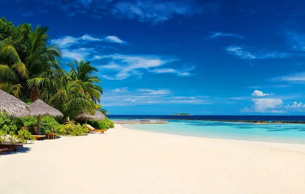 Картинка песок, пляж, пальмы, океан, экзотика