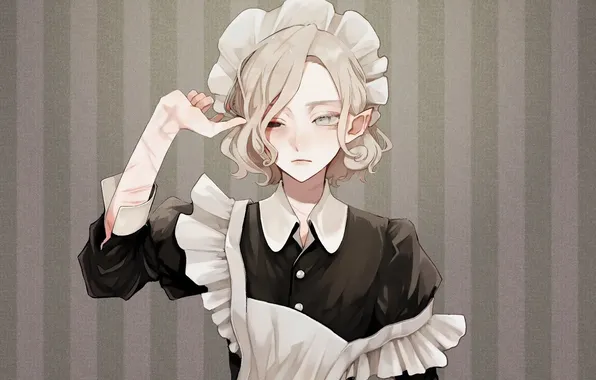 Anime, горничная, maid, Trap, Dungeon Meshi, Mithrun