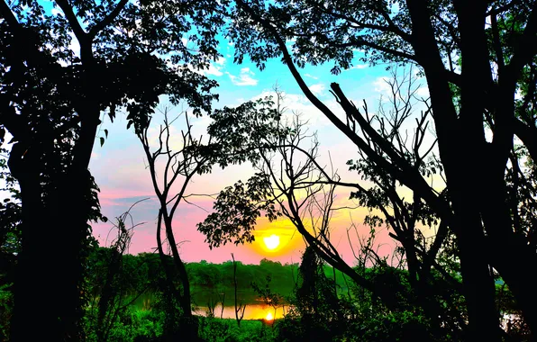 Sun, Water, Sunrise, Dawn, Morning, Lake, Trees, Reflection