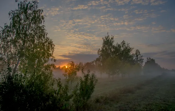 Пейзаж, рассвет, утро, восход солнца