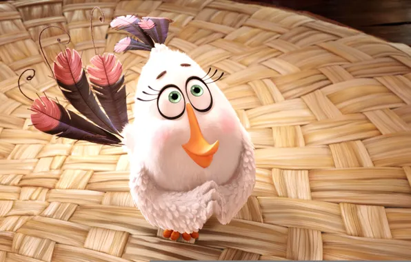 Cinema, animation, game, bird, eyes, wings, feathers, cartoon