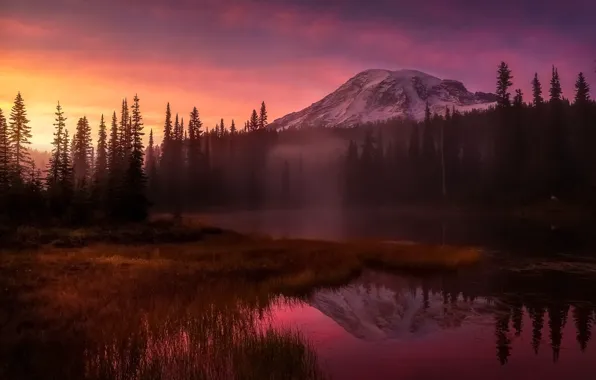 Картинка лес, свет, горы, туман, вечер, утро