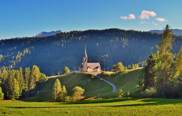 Картинка дорога, зелень, поле, лес, лето, небо, трава, облака