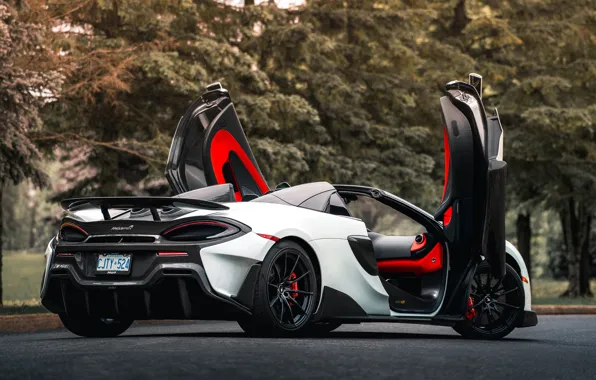 McLaren, суперкар, Spider, 2019, 600LT