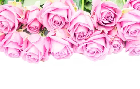 Розы, букет, pink, flowers, roses, розовые розы