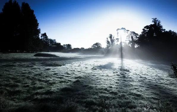 Картинка свет, туман, утро