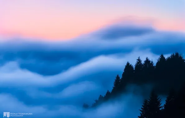 Облака, деревья, туман, photographer, Kenji Yamamura