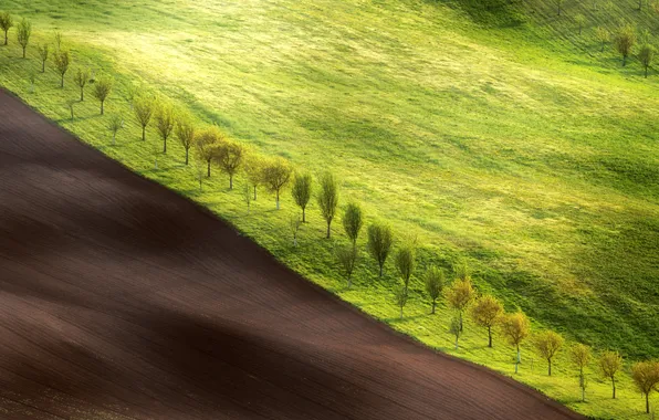 Colors, land, plantation