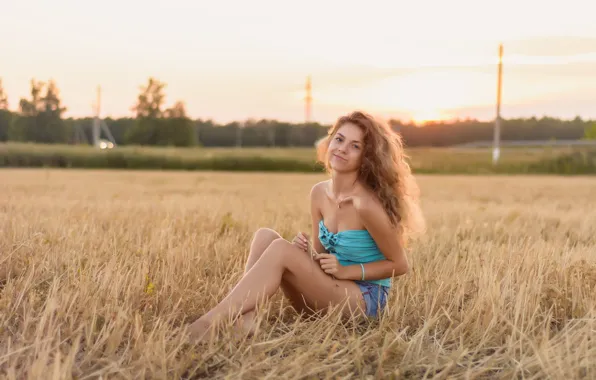 Картинка девушка, сидит, в поле, Милая, на фоне заката