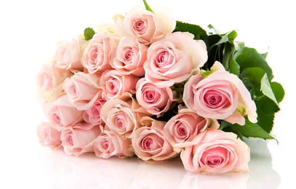 Картинка розы, букет, pink, flowers, roses
