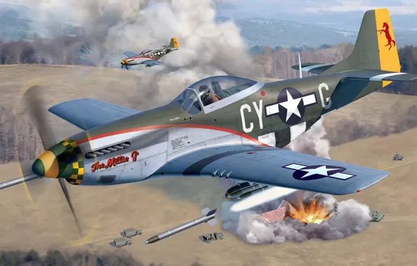 Истребитель, США, Штурмовик, North American P-51 Mustang, Egbert Friedl, US Airforce, P-51D-15-NA Mustang