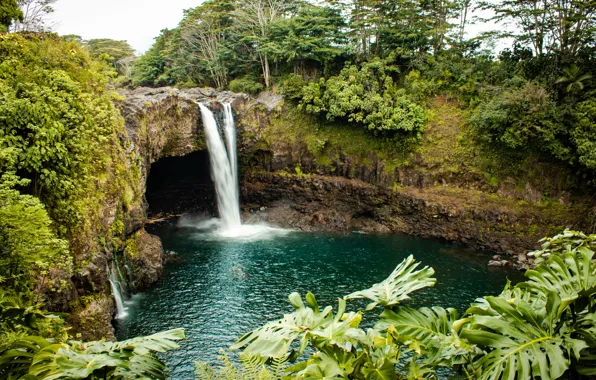 Картинка деревья, природа, водопад, США, водоем, грот, Rainbow Falls