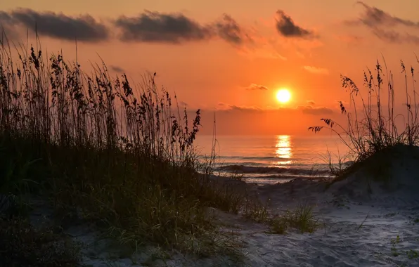 Картинка море, закат, берег