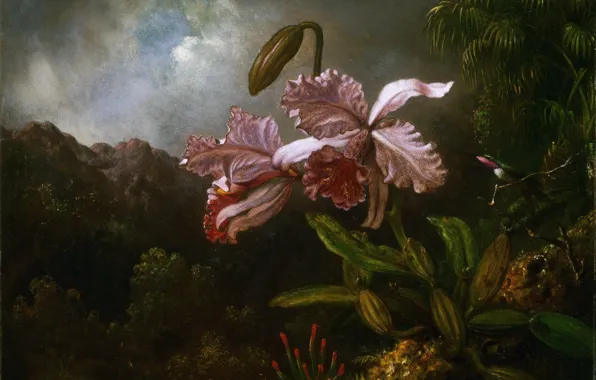 Картинка картина, живопись, Мартин Джонсон Хэд, Martin Johnson Heade, Орхидеи на фоне гор