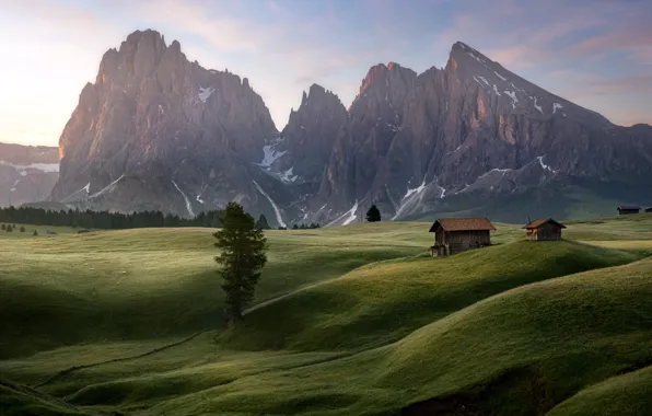 Sunrise, Alpe di Siusi, alpine meadow