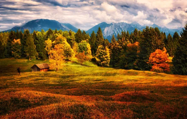 Поле, осень, лес, трава, яркие краски, облака, деревья, горы