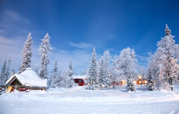 Зима, снег, деревья, пейзаж, природа, зимний, домик, house