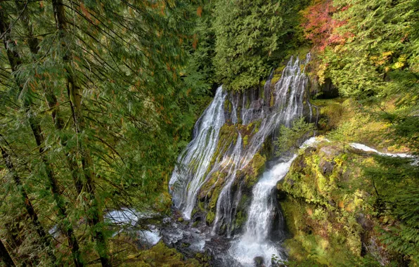 Картинка осень, лес, природа, скала, камни, водопад