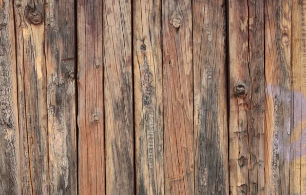 Wood, pattern, natural, not planed