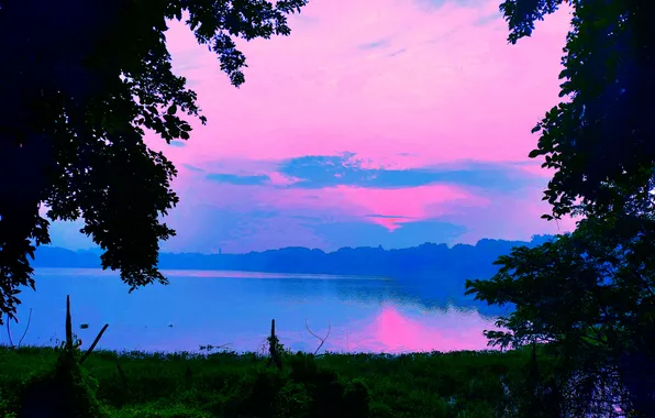 Clouds, Sky, Grass, Water, Sunrise, Dawn, Morning, Lake