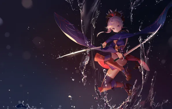 Fate grand order, miyamoto musashi, leiq