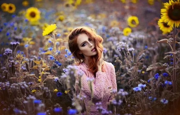 Взгляд, девушка, подсолнухи, рыжая, цветочки, Melanie Dietze