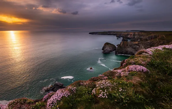 Картинка побережье, Англия, Cornwall