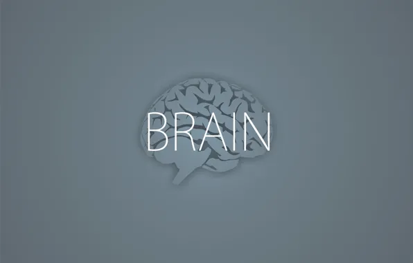 Надпись, минимализм, серый фон, Brain, мозги