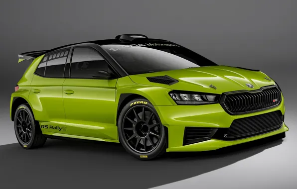 Картинка серый фон, Skoda, 2022, Rally2, Fabia RS