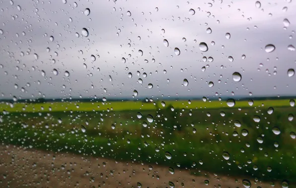 Картинка поле, небо, капли, дождь, окно