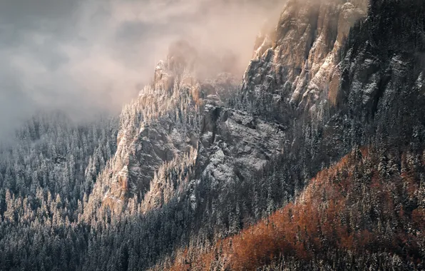 Картинка лес, горы, природа, туман
