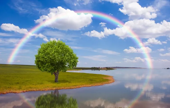 Картинка поле, природа, река, дерево, радуга