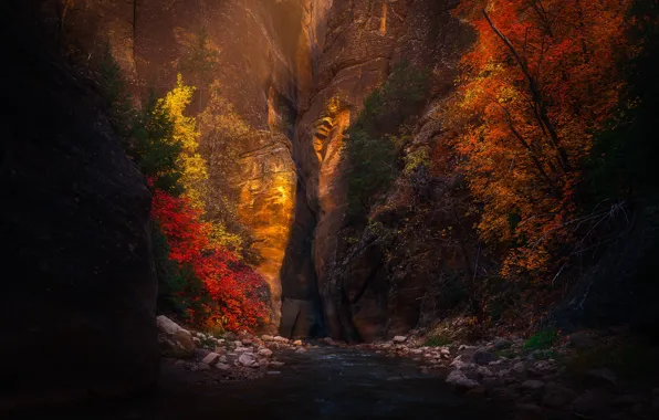 Картинка осень, деревья, пейзаж, природа, река, скалы, ущелье, Юта
