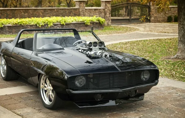 Black, camaro, chevrolet, muscle, tuning, 1967, power, america
