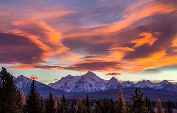 Forest, sky, trees, landscape, nature, sunset, mountains, clouds