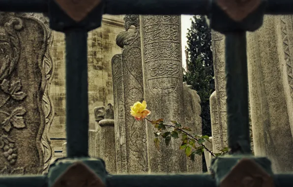 Flower, antique, ottoman
