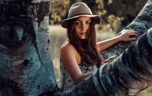 Картинка взгляд, деревья, модель, портрет, шляпа, берёзы, Jennifer Elene N