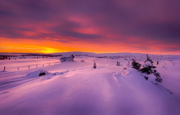 Зима, свет, снег, утро, Норвегия, домик, Декабрь