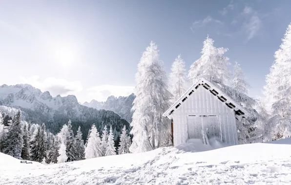 Зима, лес, небо, горы, избушка, простор, сугробы, forest