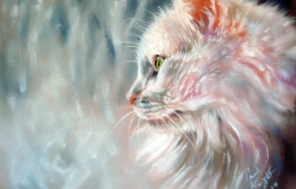 Картинка кошка, взгляд, дождь, окно, мордочка, профиль, белая, живопись