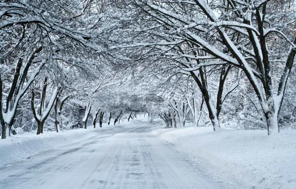 Картинка зима, дорога, лес, снег