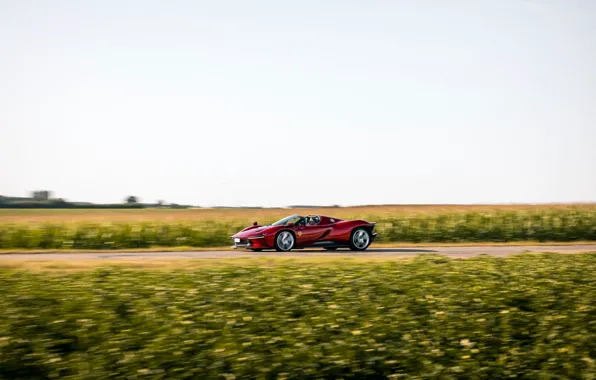 Car Ferrari Field Daytona Ferrari Daytona Sp Ferrari