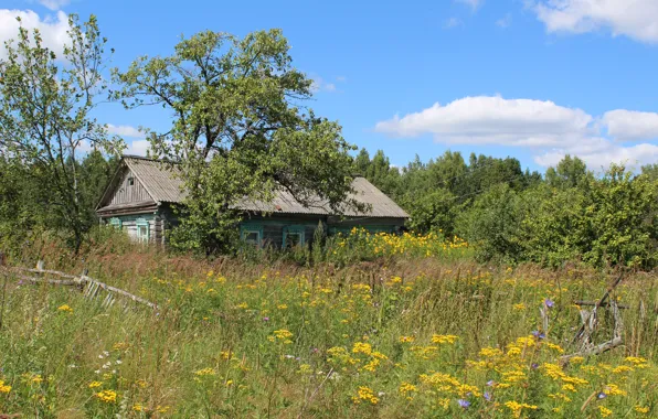 Картинка sky, Village, Plants