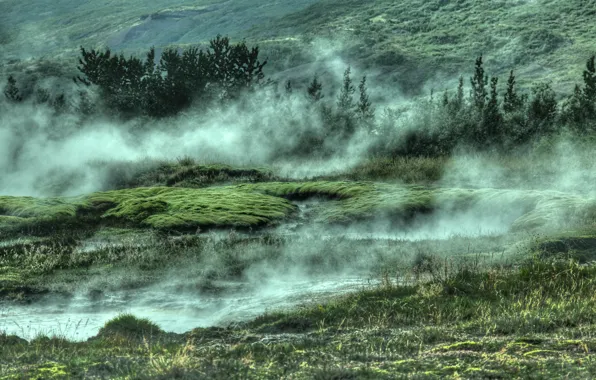 Картинка green, grass, trees, nature, water, fog, Iceland, geothermal area