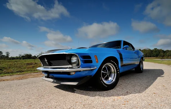 Картинка Boss 302, Ford Mustang, 1970, Fastback