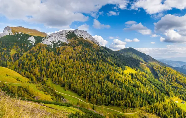Дорога, осень, лес, облака, горы, природа, синева, холмы