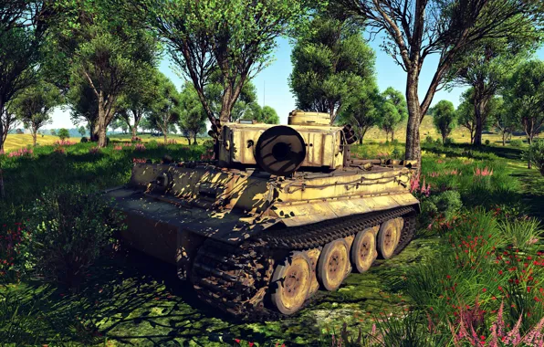 Небо, Трава, Игра, Тигр, Война, Танк, Tiger, War