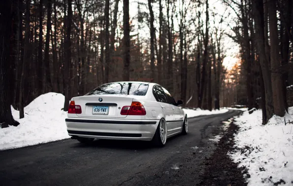 Картинка зима, лес, деревья, бмв, BMW, белая, E46, 325i