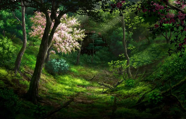 Картинка лес, деревья, природа, тоннель